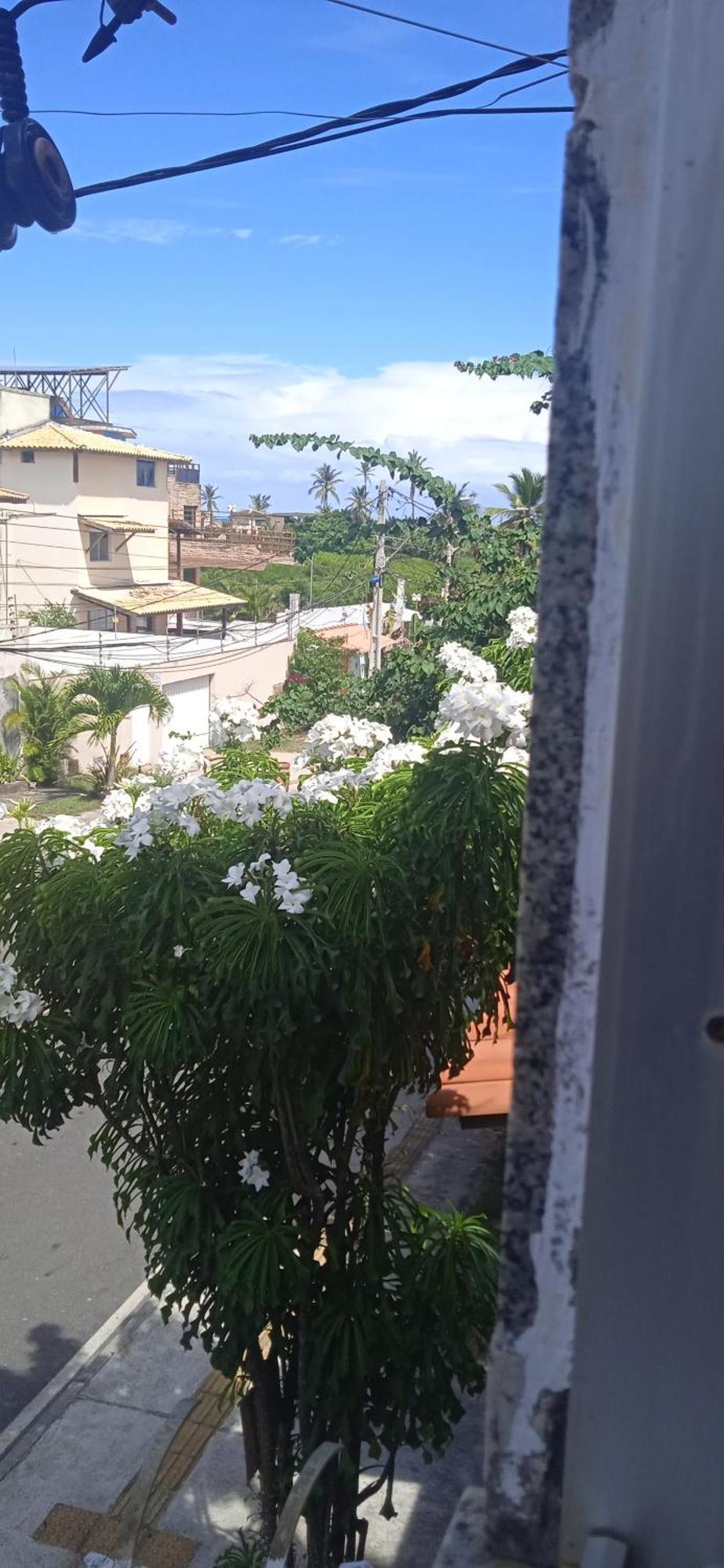 Kit Net Carlotta Apartamentos Salvador da Bahia Exterior foto
